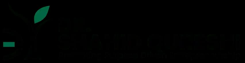 dsq software company